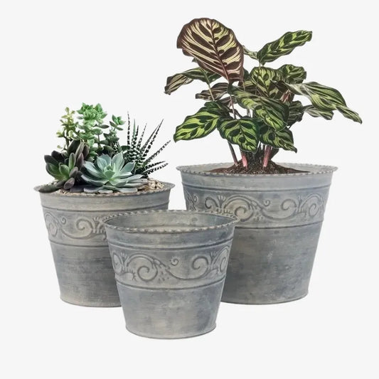 Lot de 3 Cache-Pots en Métal Vintage – Charme Rustique et Élégance Intemporelle